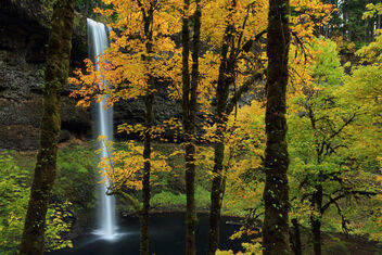 South Falls - Free image #488833